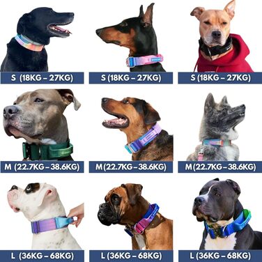 Тактичний нашийник для собак Spark Paws – міцний, преміум-якість, для великих та середніх собак (Lime Wave, XS: 9-18 кг [2.5 см])