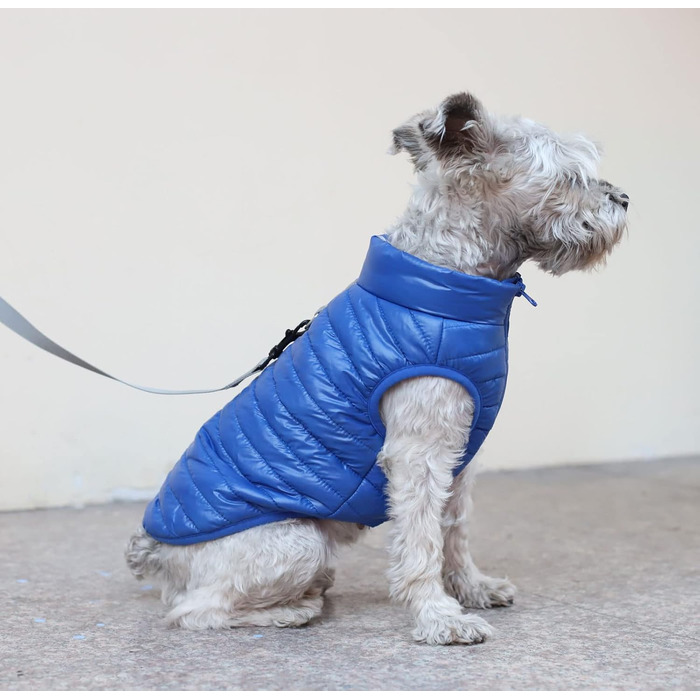 Зимовий теплий водонепроникний одяг для собак з кільцем D, суперлегкий, для малих собак, кошенят та цуценят (XS-XL, темно-синій)