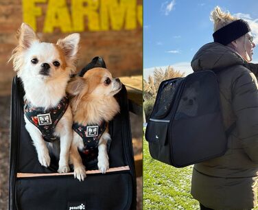 Рюкзак для кота Pecute з сітчастим вікном, чорний, до 6 кг