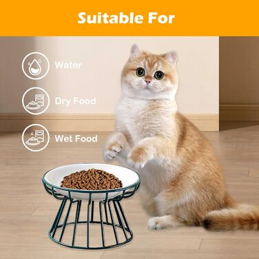 Керамічні годівниці для котів з металевим підставкою, підняті миски для кошенят та води, підняті миски для котів, плоскі миски для домашніх котів, цуценят, маленьких собак, 2 шт. 【2 шт. чорний + зелений】