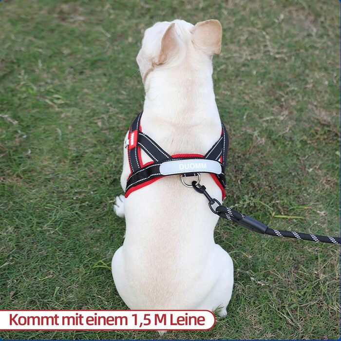 Нашийник для собак середніх та маленьких порід, цуценят, кольоровий, з м'якою підкладкою, з ручкою та кільцем, світловідбиваючий, легкий, чорно-сірий, (M, чорний+червоний)