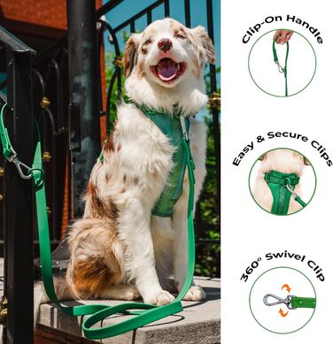 Антизахисна шлейка для собак Easy Walk BearBone з ручкою, повідцем і нашийником, для малих, середніх і великих порід, зелена