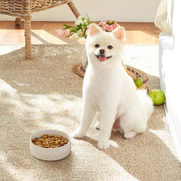 Миска для собак Malacasa з підставкою з горіхового дерева, 450 мл, подвійна миска для собак та котів, для корму та води, неслизька підставка, дизайн у стилі квітки та соти (450 мл, 1 шт.)