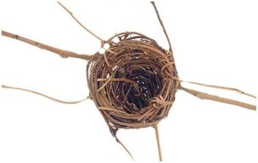 Декоративне гніздо з гілок CWI Gifts 4', на розгалуженому стеблі, 6 шт, коричневе