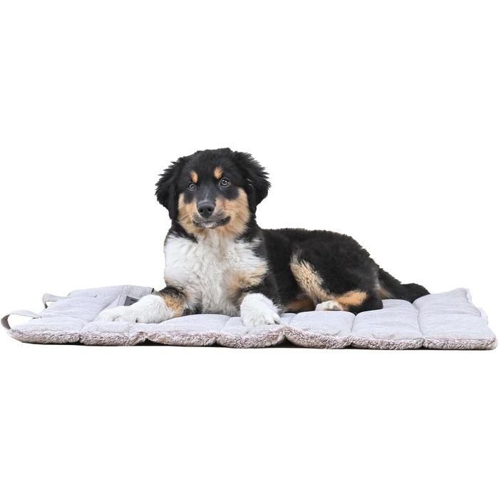 Килимок для собак середнього розміру, прямокутний, бежевий – захищає суглоби, двосторонній, літо/зима, легко транспортується, не деформується, можна прати в машині, L (65 x 80 см)