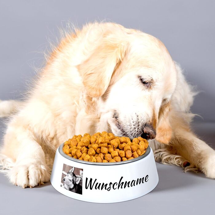 Миска для корму з фотографією для собак PhotoFancy® - персоналізована з власним дизайном, Layout 1