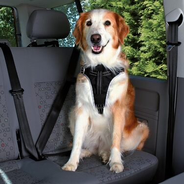 Автомобільна шлейка для собак Trixie Dog Protect, чорна, S-M