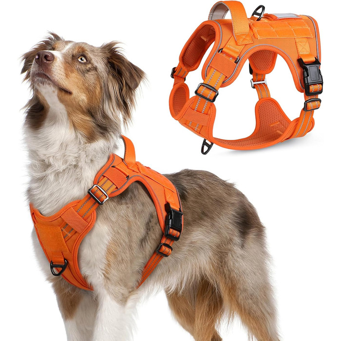 Нагрудник для собак Rabbitgoo середнього розміру, анти-тяга, регульований, з ручкою, міцний, тактичний, з металевими пряжками, для прогулянок (M, Помаранчевий)
