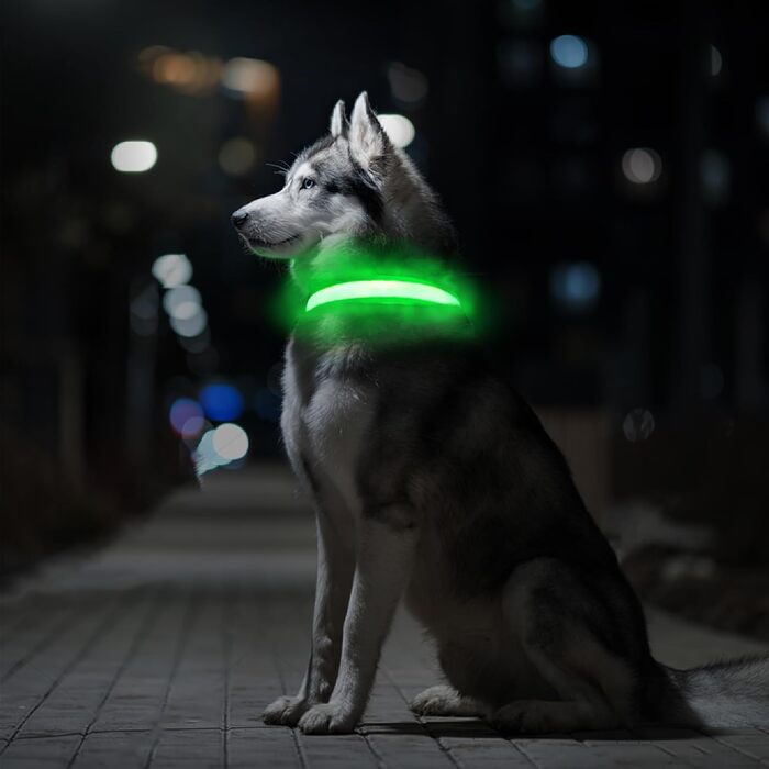 Світловідбиваючий нашийник для собак ASBRILL з LED-підсвічуванням, USB-C, водонепроникний, регульований, 3 режими світла, для малих, середніх та великих собак (зелений, L)