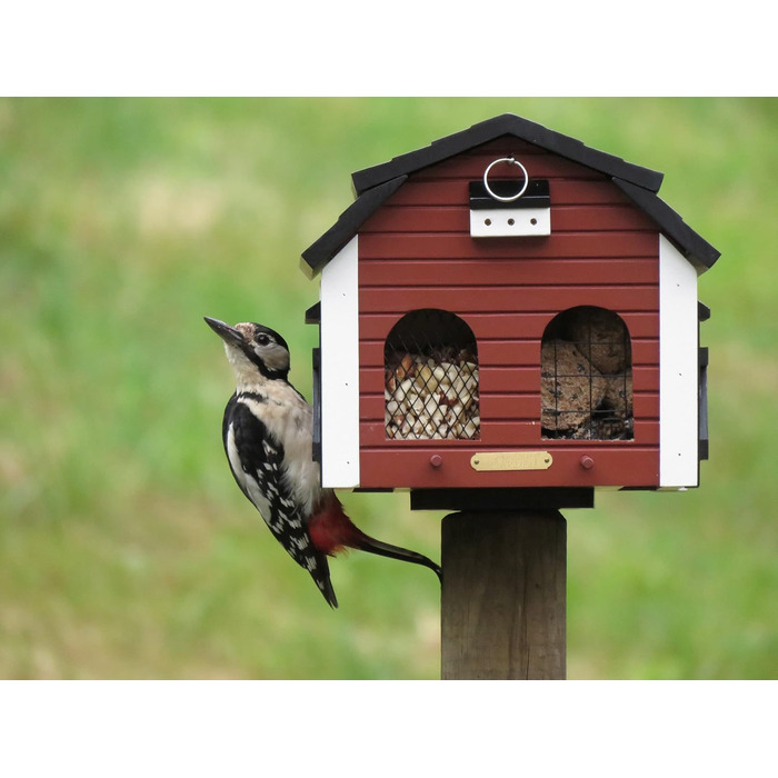 Дерев'яна годівниця для птахів Wildlife Garden WG221, червона