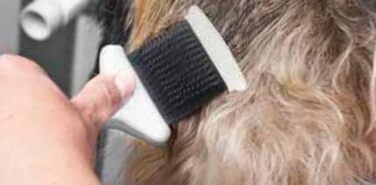 Щітка для чищення зубів EHASO Softzupfbürste Klein, маленьке поле щітки 4,6 x 4,8 см