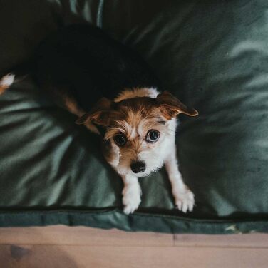 Ортопедична подушка для собак HUNTER Merida, оливковий колір, розмір L