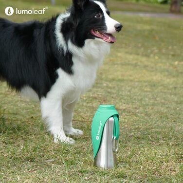ЛьюмоЛіф - пляшка для води для собак, 800 мл, нержавіюча сталь, портативна, для подорожей, хандер, кемпінг (зелена)