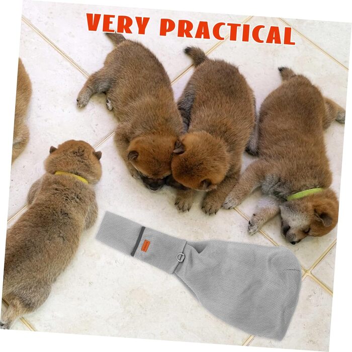 Рюкзак для собак і котів Supvox: зручний та легкий для подорожей та прогулянок