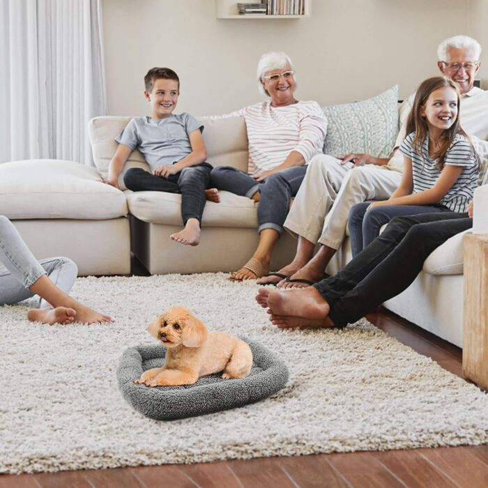 Клітка-ліжко для собак та котів IHONYI, 50 x 37 см