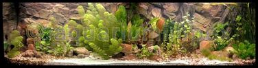 3D фон для акваріума 150x50 см, скеля з коренем, 2 частини