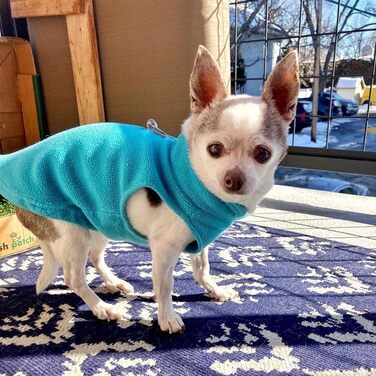 Теплий пуловер Gooby для собак - рожевий, розмір L, флісова жилетка з повідком, зимовий одяг для маленьких собак, унісекс