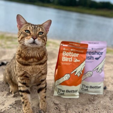 Супер-преміум корм для котів The Better Cat з куркою, беззерновий, з пробіотиками, без цукру, 2 кг