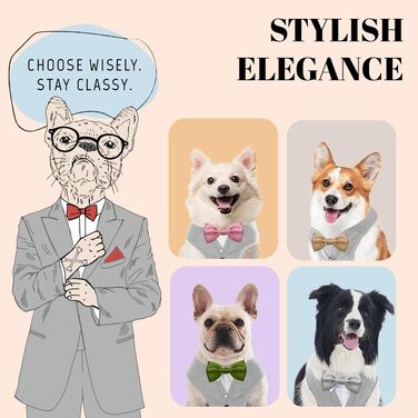 Smoking для собак AVERYDAY: елегантний костюм для свят та фотосесій, з краваткою, для середніх та великих собак (S, сірий + шампань)