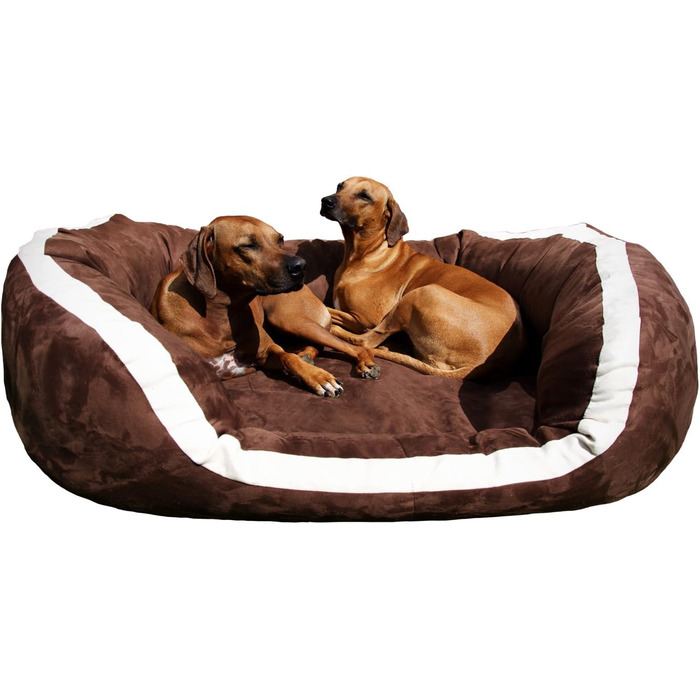 Ортопедичне ліжко для собак Tierlando® Pepper, ліжко-софа для собак, віскоеластична піна, XL, велюр, сірий, 110 см, MEGA DICK & WEICH