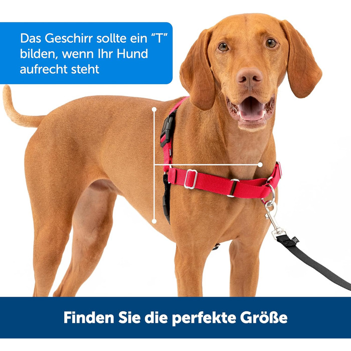 Шлейка для собак PetSafe Easy Walk чорна, середній/великий розмір