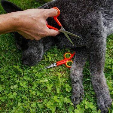 Ножиці для грумінгу собак Hundefreund, набір з 2 шт. з нержавіючої сталі з закругленими кінчиками для стрижки шерсті та лап