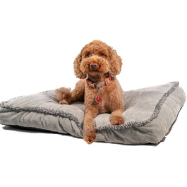 Крісло-ліжко для собак: м'яке, тепле, зручне та заспокійливе. Миється, знімний чохол, сірий колір (71 x 48 x 8 см), середнє