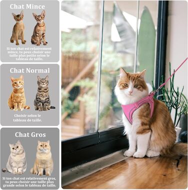 Нашийник для котів Qianruida з повідком, регульований, зручний, дихаючий, світловідбиваючий (Рожевий, XXS)