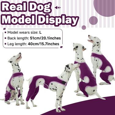 Комбінезон для собак після операції на ногах, захист від витікання, запобігає інфекціям, розмір XL, фіолетовий