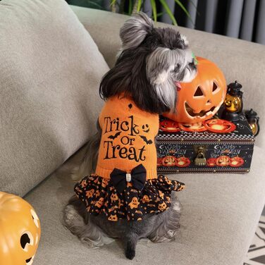 Пуловер для собак CuteBone на Halloween для середніх собак, дівчаток, з вишивкою 