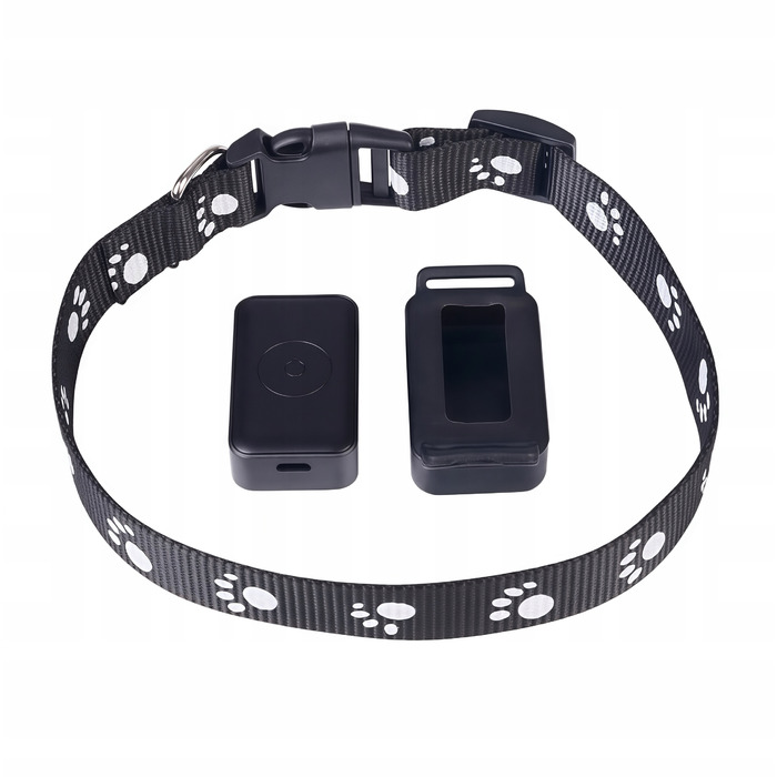 GPS-трекер для собак та котів: міні-нашийник для тварин без абонплати з додатком