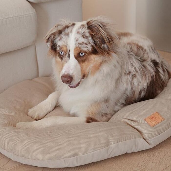 Ліжко для собак та котів Ferplast, м'який лежак, 55 x 41 x 15 см, блакитний (Tweed коричневий, 85 x 5 x 55 см), миється