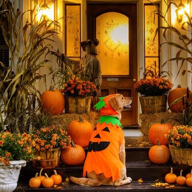 Костюм для собак та власників FLAdorepet на Геловін: сімейний комплект з капелюхом, костюм для собак та людей, гардероб для хатніх тварин та власників, гардероб для Геловіну, костюм для собак великих та гігантських порід (XXL)