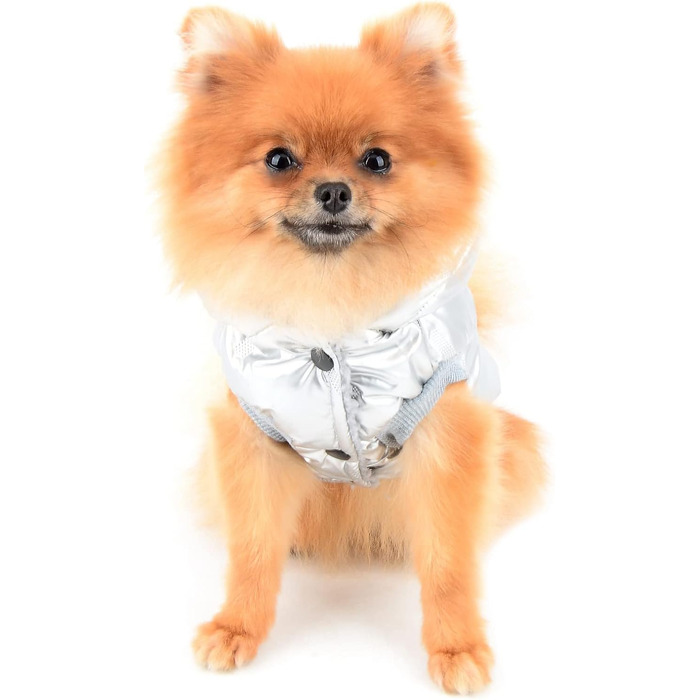 PAIDEFUL Зимовий теплий пуховик для собак - куртка з капюшоном для маленьких собак, чихуахуа, котів. Розмір M, сріблястий колір. Водонепроникний, вітрозахисний. Довжина спини 25 см, обхват грудей 37 см.