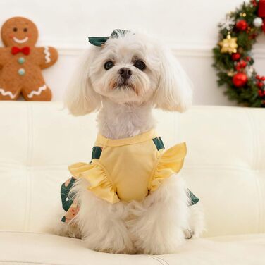 Костюм для собак 