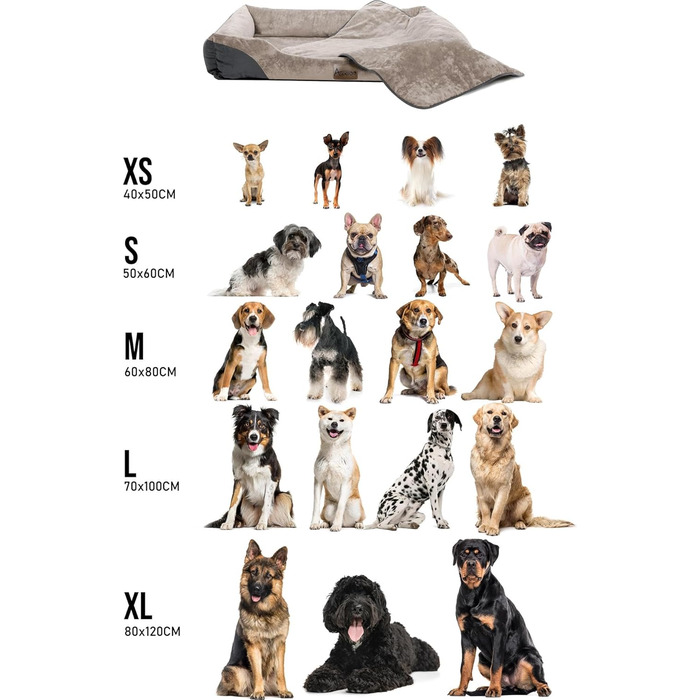 Корзина для собак Normani з підстилкою - лежанка для тварин, 60x80 см, бежева