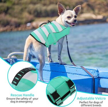 Рятувальний жилет для собак ASENKU - спортивний стиль, регульований, для дзерка, чихуахуа, французького бульдога, лабрадора (XXL, зелений)