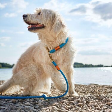 Нашийник для собак HUNTER OSS, петроль, L-XL, мотузка, карабін, морський стиль