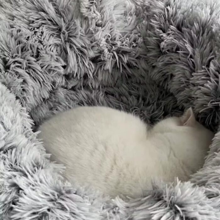 Котячий тунель-лежанка для дому, круглий тунель, багатофункціональне ліжко з оглядовим вікном, котяча хатка, тунель для декількох котів (сірий)