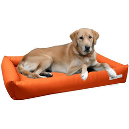 колір: помаранчевий