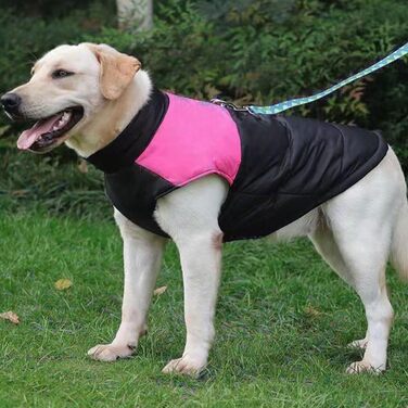 Водонепроникний теплий зимовий одяг для собак: тепла флісова куртка з відстібаним коміром та регульованою жилеткою Hunter для малих, середніх та великих собак (C, L)