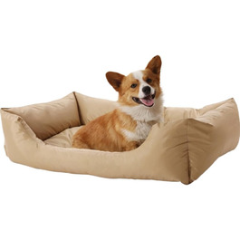 колір: золото