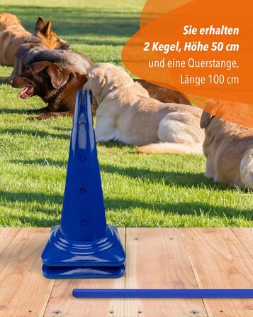 Кегель-бар'єри Sportikel24 для аджиліті – набір бар'єрів для собак, коней та дітей – 50 см