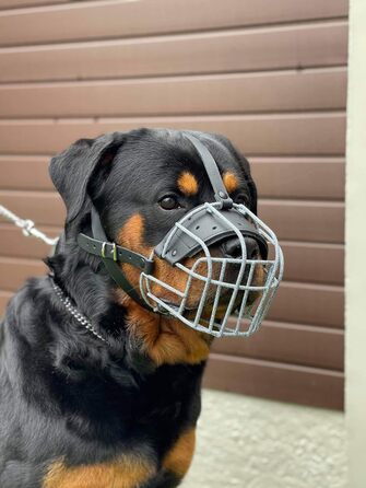 Міцний нашийник-маска для собак з металевої сітки, Rottweiler, Mastiff, Golden Retriever (R2, сріблястий/чорна шкіра)