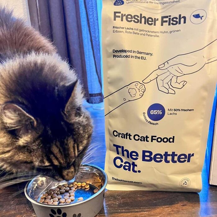 Супер-преміум корм для котів The Better Cat з лососем, беззерновий, з пробіотиками, 1 кг