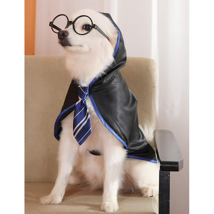 Костюм для собак на Хелловін від Coomour: Заєць з окулярами, середній розмір, блакитний