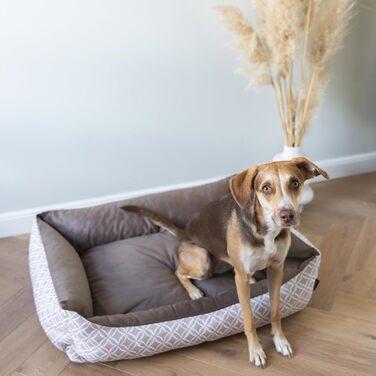 М'яке собаче ліжко Otto 80x60 см, коричневе. Знімна та пральна наволочка. Ліжко-кошик для собак середніх порід.