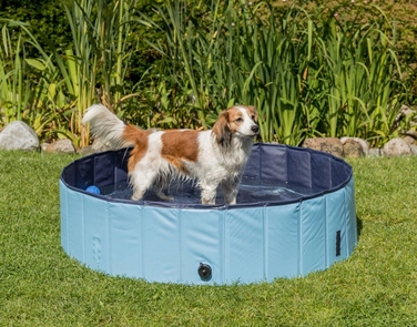 Басейн для собак Trixie 39482, синій