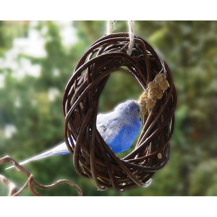 Два смачні дерев'яні кільця з лози для папуг, хвилястих та корел; плетіння з лози. Іграшка для птахів у клітку, вольєр. Ігровий майданчик для птахів для підвішування. 2 дерев'яні кільця 2.0