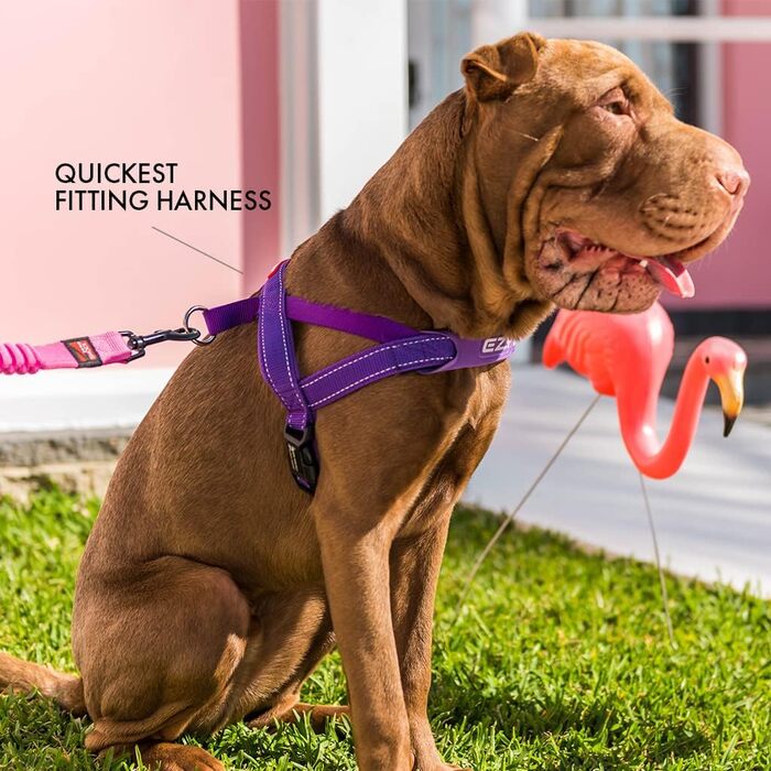 Швидко регульована шлейка для собак EzyDog Quick Fit, розмір M, червона